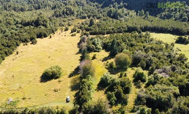 Agrícola en Venta en 30,8 hectareas en Ralun, sector Los Ladrillos