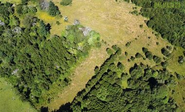 Agrícola en Venta en 30,8 hectareas en Ralun, sector Los Ladrillos