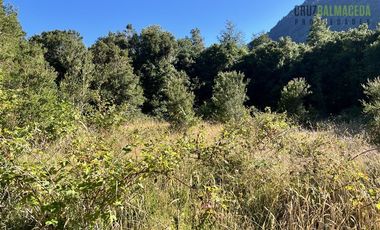 Agrícola en Venta en 30,8 hectareas en Ralun, sector Los Ladrillos