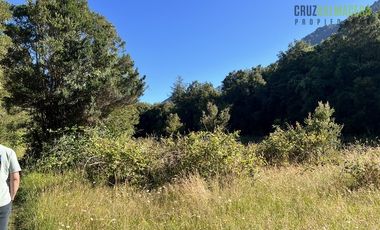 Agrícola en Venta en 30,8 hectareas en Ralun, sector Los Ladrillos