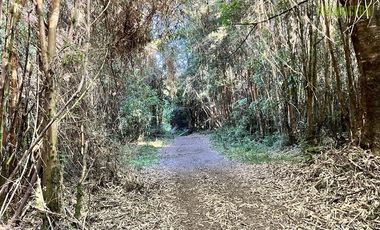 Agrícola en Venta en 30,8 hectareas en Ralun, sector Los Ladrillos
