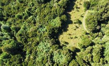 Agrícola en Venta en 30,8 hectareas en Ralun, sector Los Ladrillos