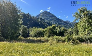 Agrícola en Venta en 30,8 hectareas en Ralun, sector Los Ladrillos