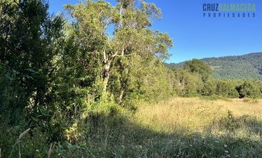 Agrícola en Venta en 30,8 hectareas en Ralun, sector Los Ladrillos