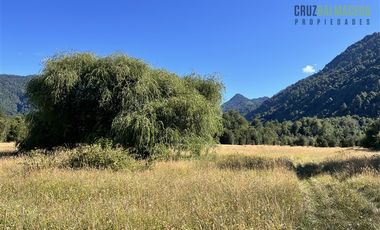 Agrícola en Venta en 30,8 hectareas en Ralun, sector Los Ladrillos