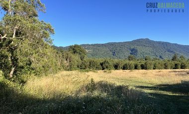 Agrícola en Venta en 30,8 hectareas en Ralun, sector Los Ladrillos