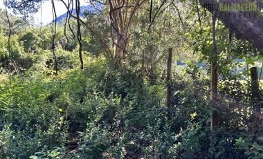 Agrícola en Venta en 30,8 hectareas en Ralun, sector Los Ladrillos