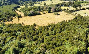 Agrícola en Venta en 30,8 hectareas en Ralun, sector Los Ladrillos