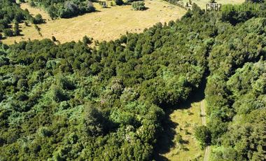 Agrícola en Venta en 30,8 hectareas en Ralun, sector Los Ladrillos
