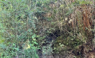 Agrícola en Venta en 30,8 hectareas en Ralun, sector Los Ladrillos