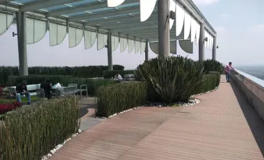 Oficina en renta en San Angel, Álvaro Obregón, Ciudad de México