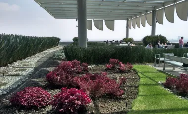 Oficina en renta en San Angel, Álvaro Obregón, Ciudad de México