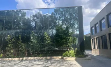 Edificio en renta en Altavista, Álvaro Obregón, Ciudad de México