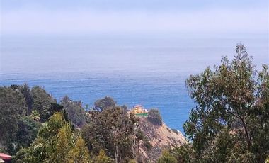 Departamento en Arriendo en Condominio Costa Algarrobo Norte