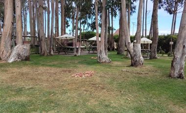 Departamento en Arriendo en Condominio Costa Algarrobo Norte