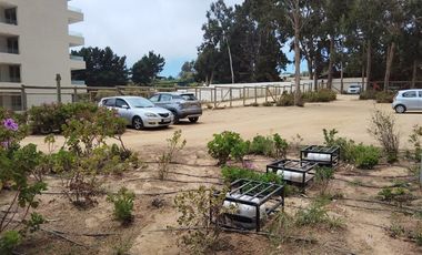 Departamento en Arriendo en Condominio Costa Algarrobo Norte