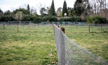 Venta lotes barrio cerrado Parque Peró Del Viso