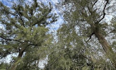 Venta Terreno Longchamps - Lote Barrio 