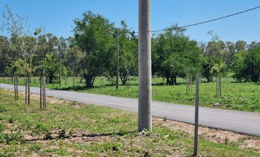 Venta Terreno Longchamps - Lote Barrio 