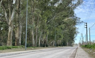 Venta Terreno Longchamps - Lote Barrio 