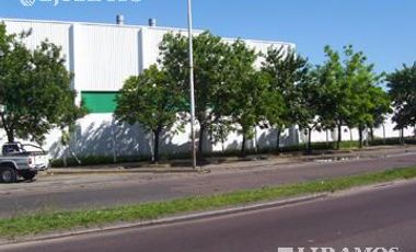 Depósito - Martin Coronado