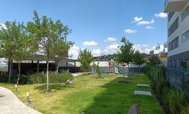 RENTO DEPARTAMENTO AMUEBLADO ZONA CORREGIDORA 3 REC 2.5 BAÑOS  CON GYM Y ALBERCA