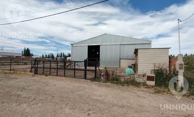 GALPON EN ALQUILER PARQUE INDUSTRIAL CIPOLLETTI