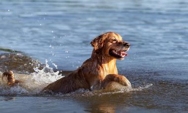 VENTA LOTES FUNES LAKES - AGUADAS