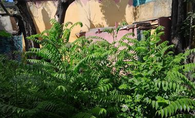 Local en Villa Ortuzar