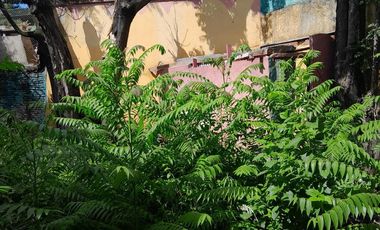 Local en Villa Ortuzar