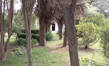 Casa - Arturo Segui