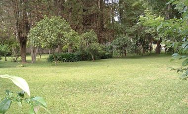Casa - Arturo Segui