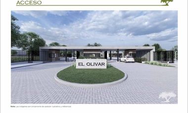 Venta Town Houses Pilar El Olivar