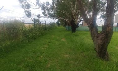 Terreno - Valle del Golf