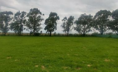 Terreno - Valle del Golf