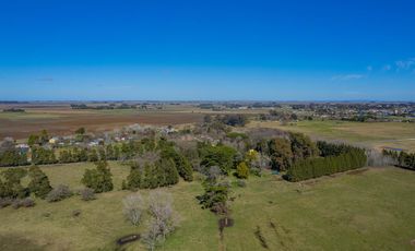 Estancia de 1830 con 42 has y cancha de polo a 50km del mar