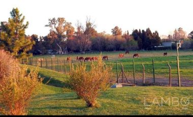 ALQUILER TEMPORARIO FEBRERO Y MARZO PILAR SAN FRANCISCO