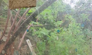 Galpón en Avellaneda