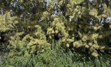 CASA 4 AMBIENTES EN VENTA, BARRIO LA CODORNIZ, LOS CARDALES