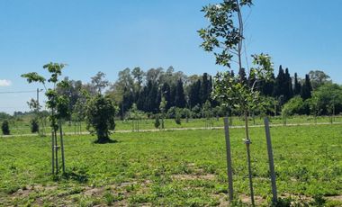 Venta Terreno Longchamps - Barrio 