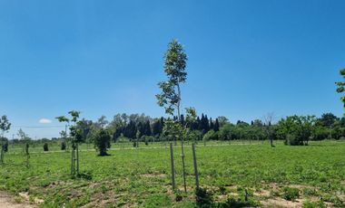 Venta Terreno Longchamps - Barrio 