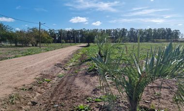 Venta Terreno Longchamps - Barrio 