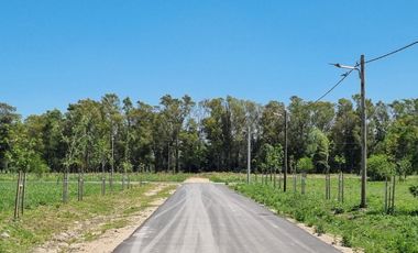 Venta Terreno Longchamps - Barrio 