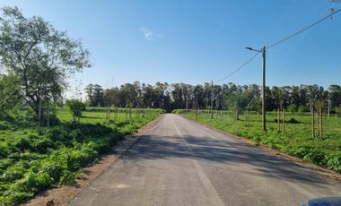 Venta Terreno Longchamps - Barrio 