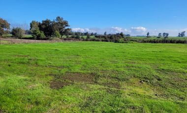 Terreno en venta ubicado en Cementerio Municipal