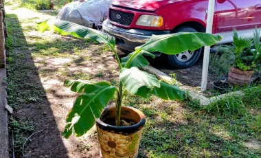 Quinta en venta