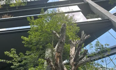 Oficina en renta en Roma Norte, Cuauhtémoc, Ciudad de México
