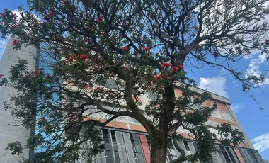 Bodega en renta en San Diego Churubusco, Coyoacán, Ciudad de México