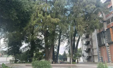 Bodega en renta en San Diego Churubusco, Coyoacán, Ciudad de México
