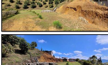 Casa finca en Guarne con cultivo de aguacate